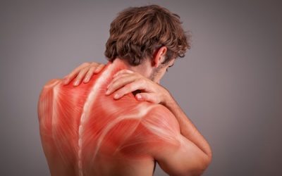 Comment éviter les troubles musculo-squelettiques au travail?